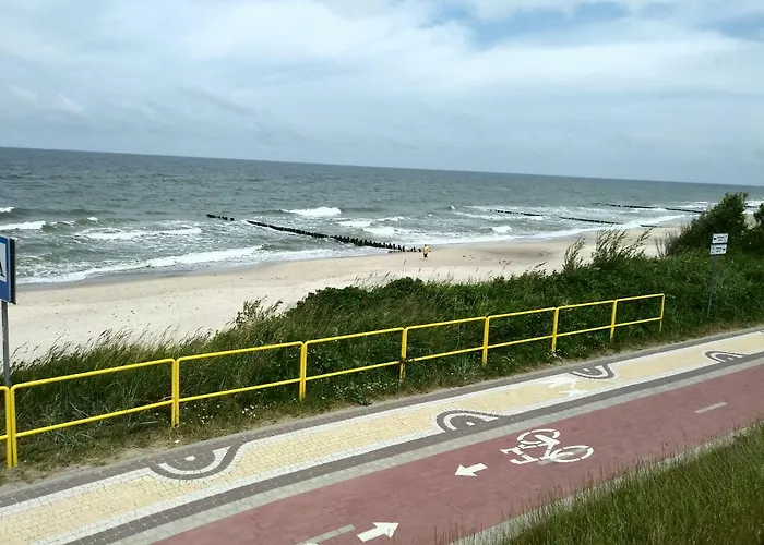 Apartment Birdwatcher